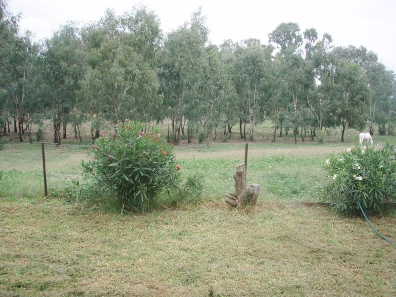 - Kia Ora Down, Old Narandera Rd, Euberta NSW 2650