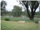 - Kia Ora Down, Old Narandera Rd, Euberta NSW 2650
