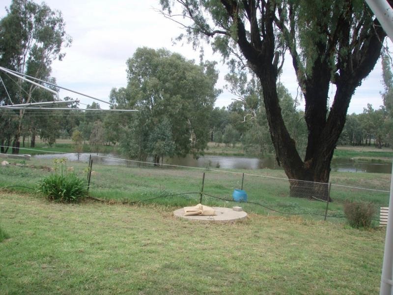 - Kia Ora Down, Old Narandera Rd, Euberta NSW 2650