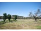 6539 Holbrook Road, Wagga Wagga NSW 2650