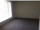 61 Veale St, Wagga Wagga NSW 2650