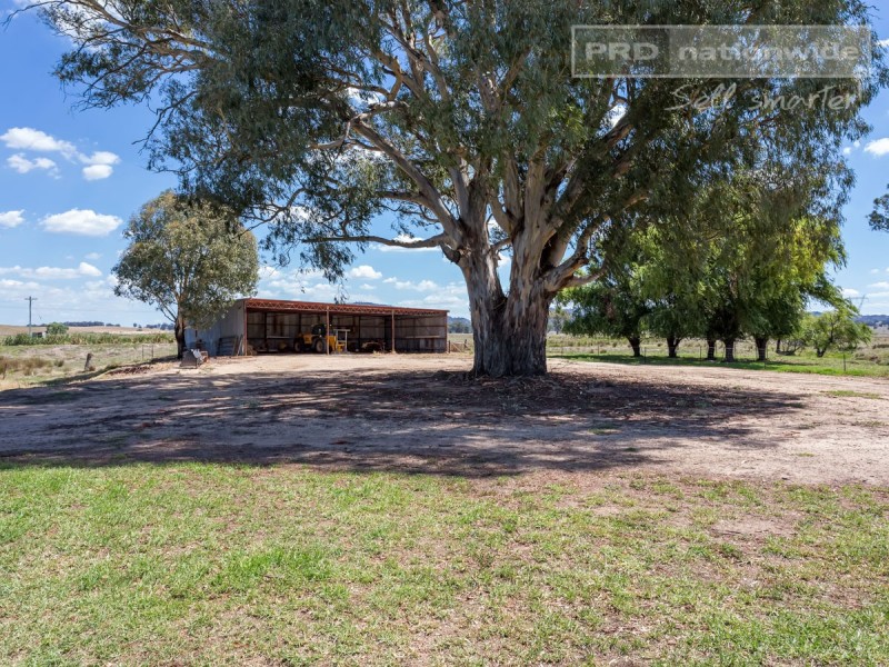 477 Gregadoo East Road, Gregadoo NSW 2650