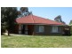 9 Canola Place, Estella NSW 2650