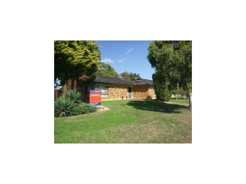 7 Binda Place, Ashmont NSW 2650