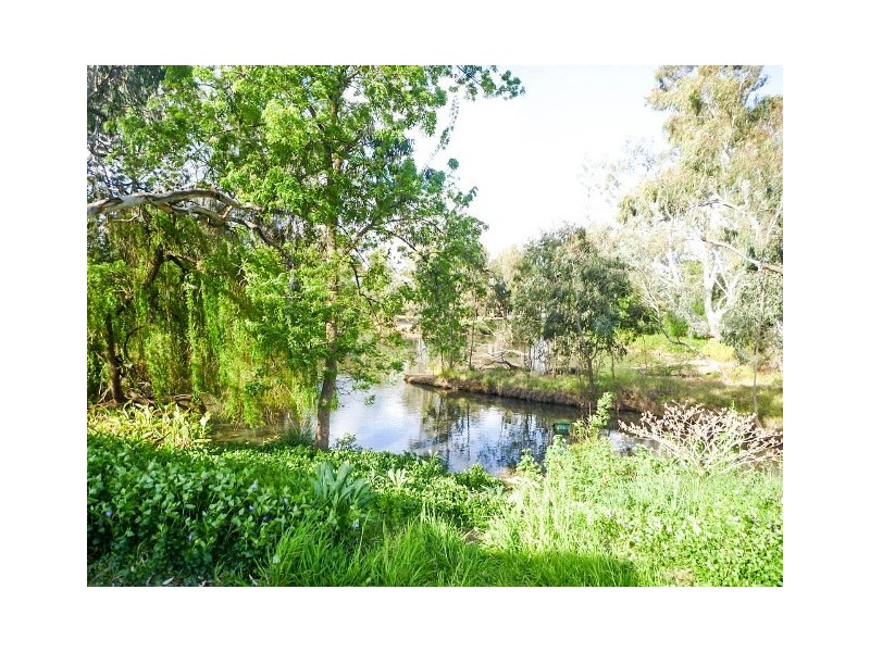 2/185 Forsyth Street, Wagga Wagga NSW 2650