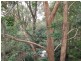 84/192 Vimiera Road, Marsfield NSW 2122