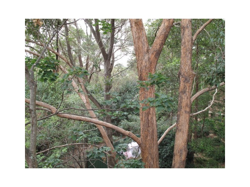 84/192 Vimiera Road, Marsfield NSW 2122