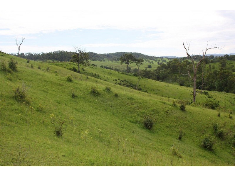 336 Afterlee Road, Kyogle NSW 2474