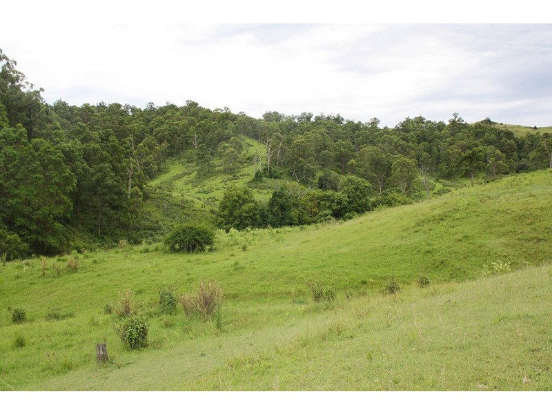 336 Afterlee Road, Kyogle NSW 2474