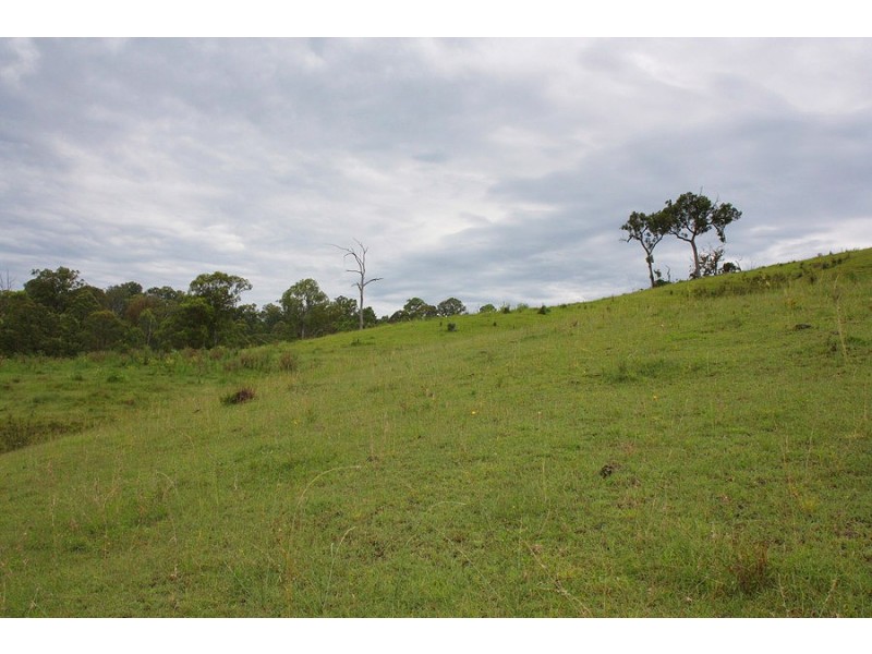 336 Afterlee Road, Kyogle NSW 2474