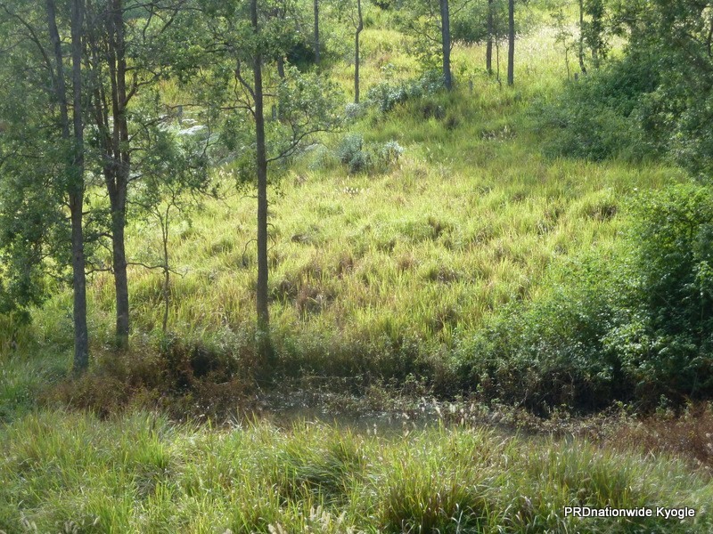 Lot 163 Ettrick Road, Kyogle NSW 2474