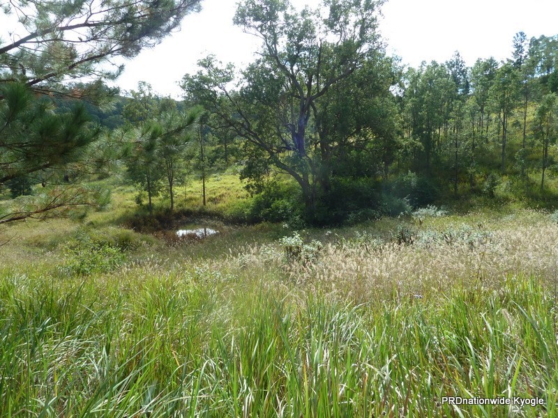 Lot 163 Ettrick Road, Kyogle NSW 2474