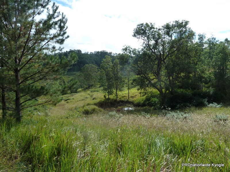 Lot 163 Ettrick Road, Kyogle NSW 2474