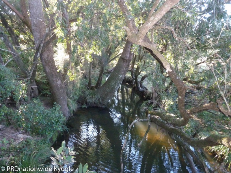 214 Homeleigh Road, Kyogle NSW 2474