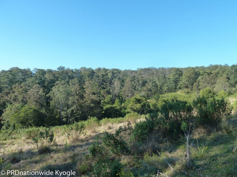 214 Homeleigh Road, Kyogle NSW 2474