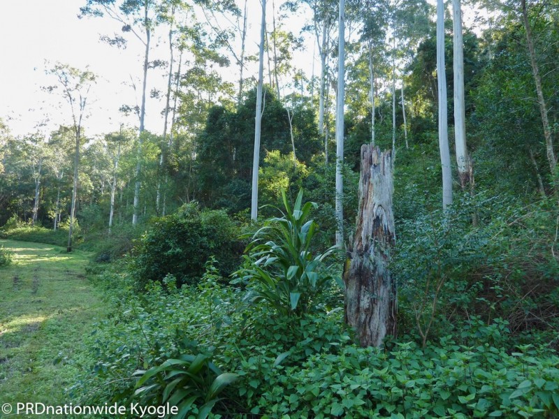 Lot41 Roseberry Creek Road, Via, Kyogle NSW 2474
