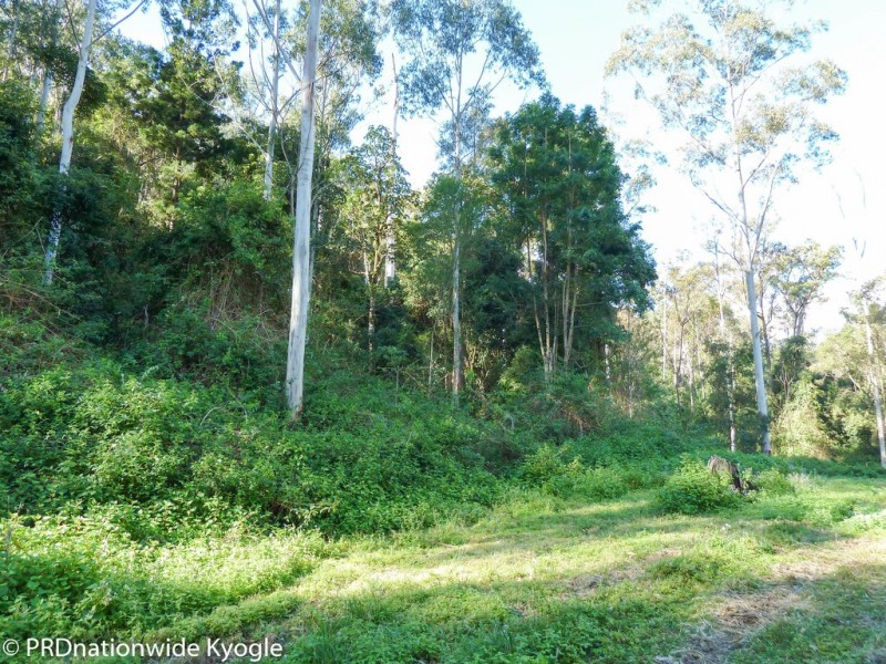 Lot41 Roseberry Creek Road, Via, Kyogle NSW 2474