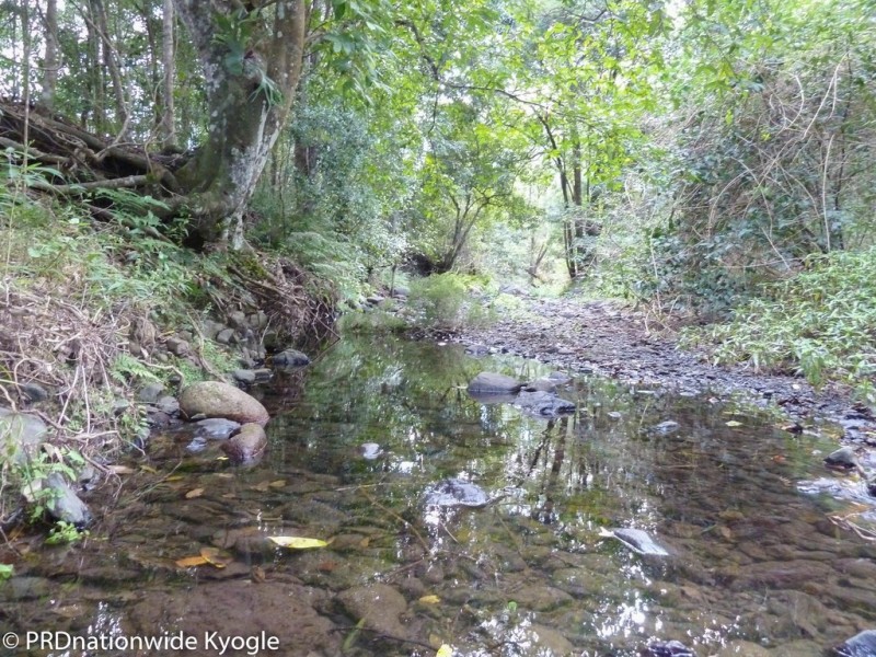 Lot41 Roseberry Creek Road, Via, Kyogle NSW 2474