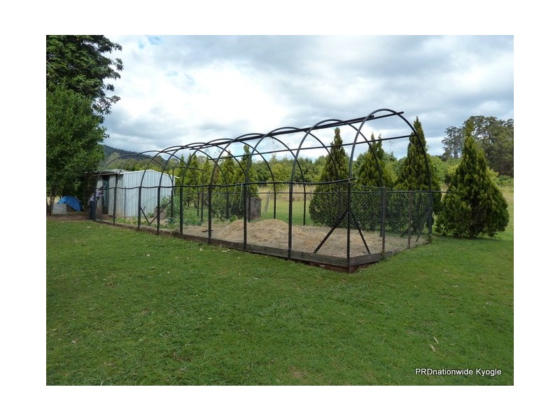 776 Green Pigeon Road, Kyogle NSW 2474
