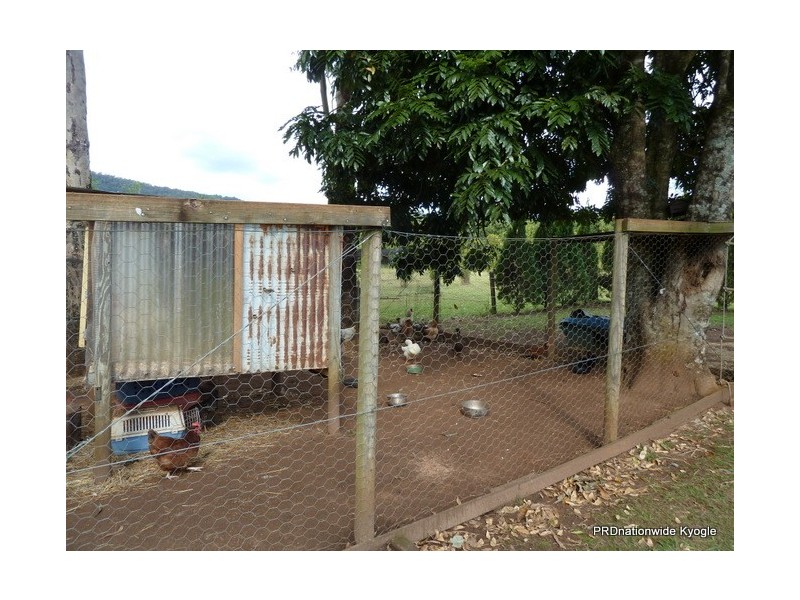 776 Green Pigeon Road, Kyogle NSW 2474