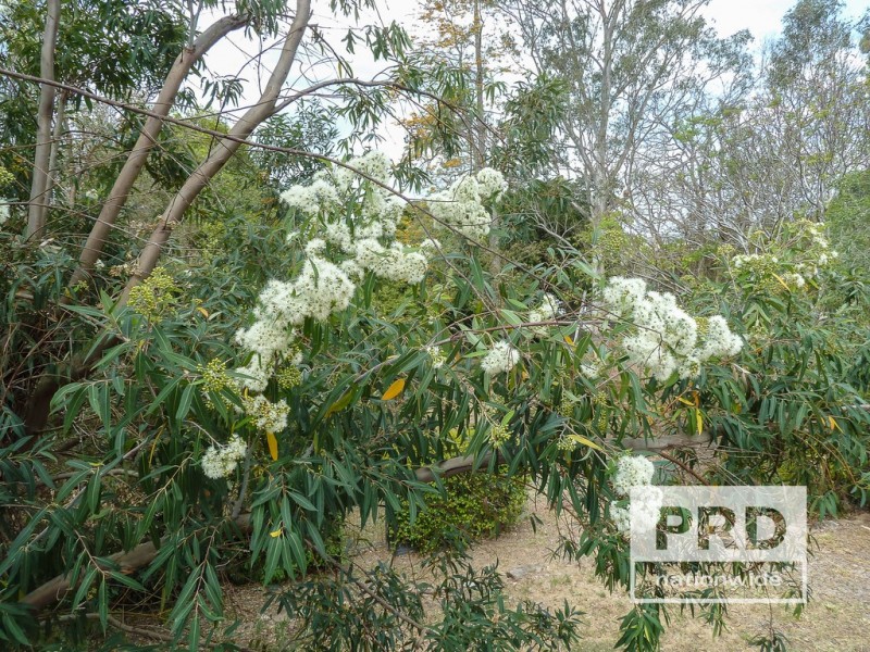 14 Pratt Street, Geneva NSW 2474