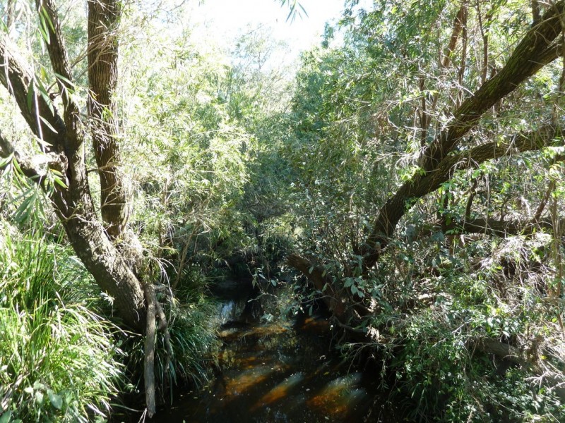 1088 Old Dyraaba Road, Kyogle NSW 2474