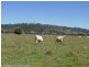 148 Collins Creek Road, Kyogle NSW 2474