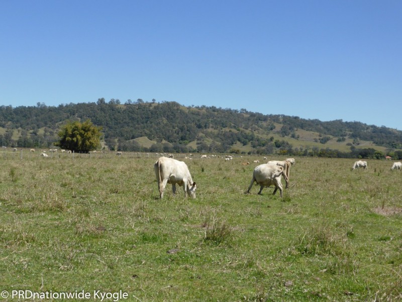 148 Collins Creek Road, Kyogle NSW 2474