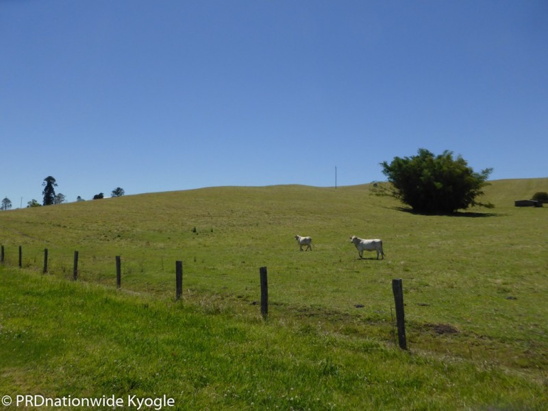 148 Collins Creek Road, Kyogle NSW 2474