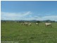 148 Collins Creek Road, Kyogle NSW 2474