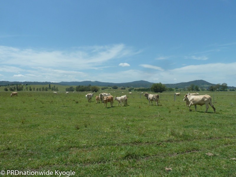148 Collins Creek Road, Kyogle NSW 2474