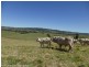 148 Collins Creek Road, Kyogle NSW 2474