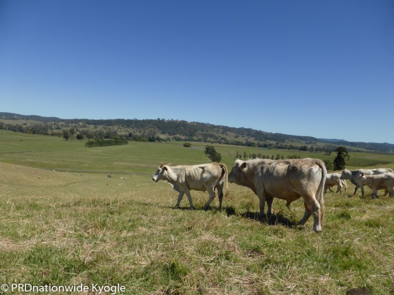 148 Collins Creek Road, Kyogle NSW 2474