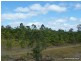 Kyogle NSW 2474