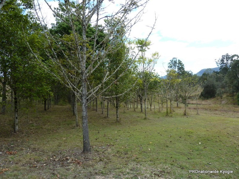 Kyogle NSW 2474