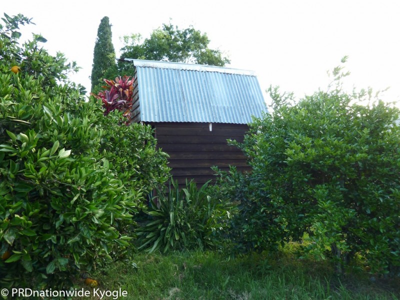 36 Worendo Street, WIANGAREE Via, Kyogle NSW 2474