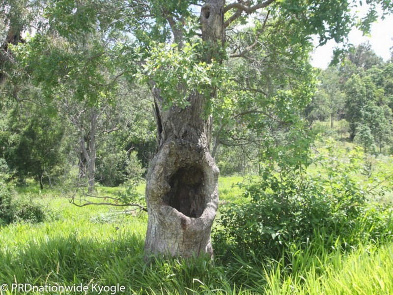 5//DP263202 Oxbow Road, Cawongla NSW 2474