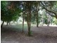 5381 Kyogle Road, Cawongla via, Kyogle NSW 2474