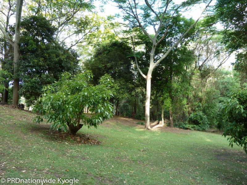 5381 Kyogle Road, Cawongla via, Kyogle NSW 2474