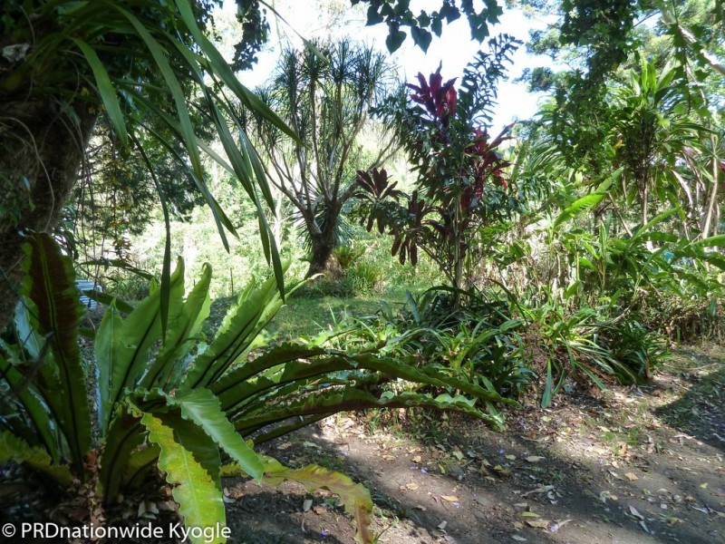 362 Boundary Creek Road, Bentley, Kyogle NSW 2474
