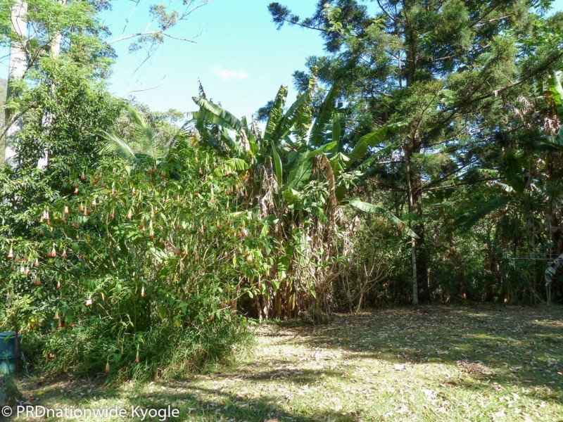 362 Boundary Creek Road, Bentley, Kyogle NSW 2474
