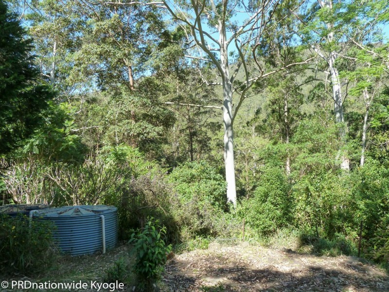 362 Boundary Creek Road, Bentley, Kyogle NSW 2474