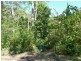 362 Boundary Creek Road, Bentley, Kyogle NSW 2474