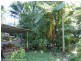 362 Boundary Creek Road, Bentley, Kyogle NSW 2474