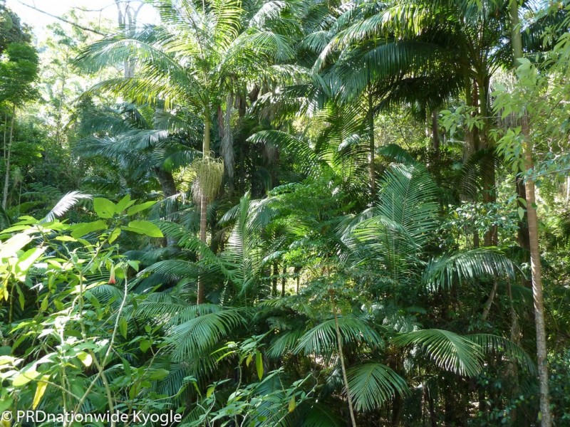 362 Boundary Creek Road, Bentley, Kyogle NSW 2474