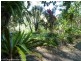 362 Boundary Creek Road, Bentley, Kyogle NSW 2474