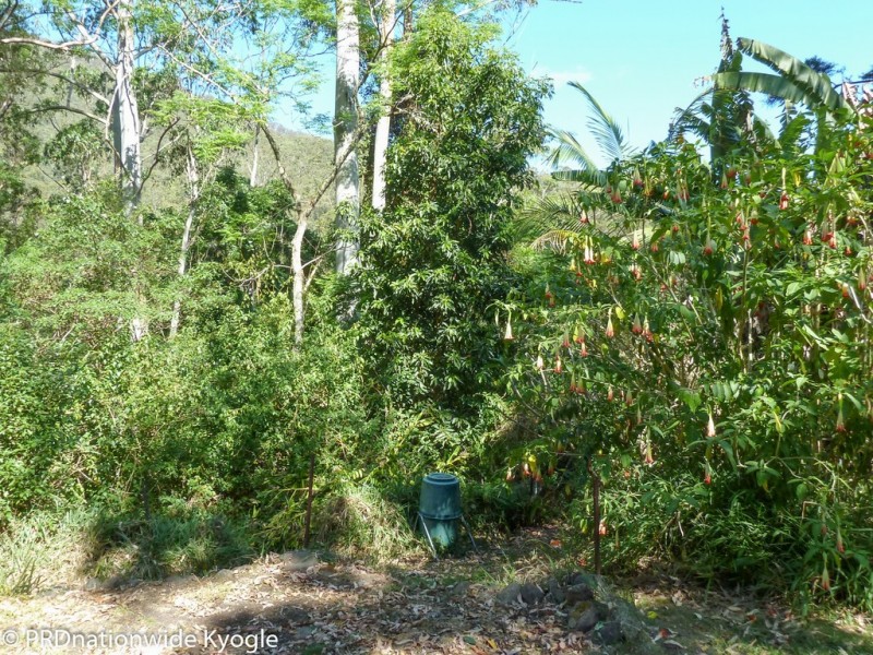 362 Boundary Creek Road, Bentley, Kyogle NSW 2474