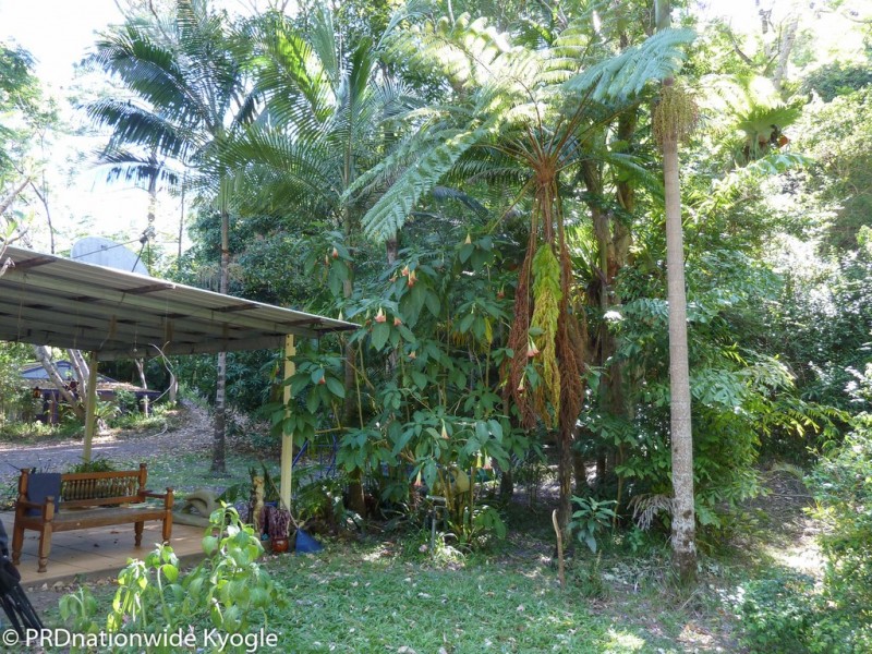 362 Boundary Creek Road, Bentley, Kyogle NSW 2474