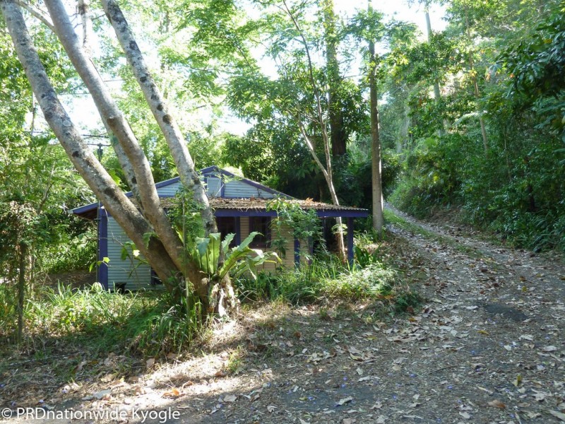 362 Boundary Creek Road, Bentley, Kyogle NSW 2474
