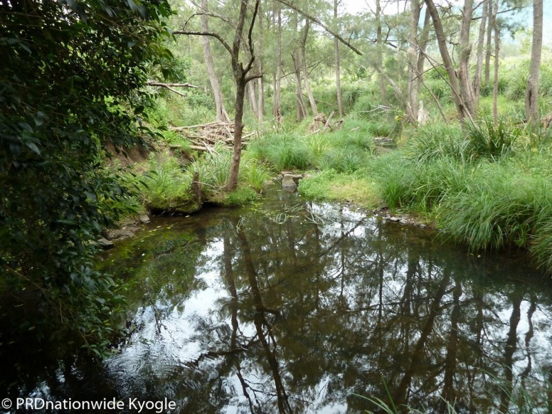 11439 Mount Lindesay Road, Koreelah NSW 2476